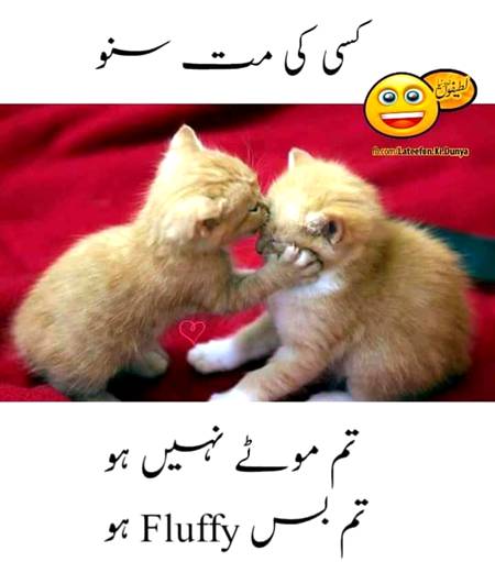 Funny joke