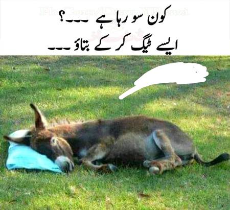 Funny joke