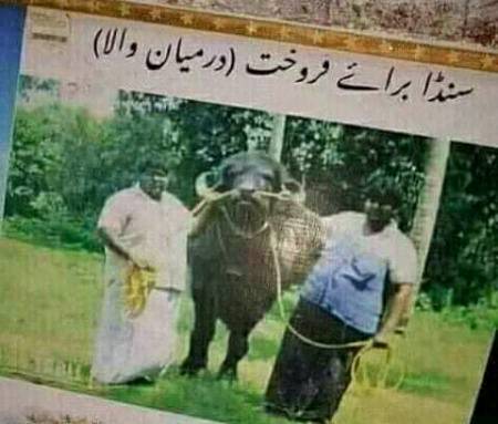 Funny joke