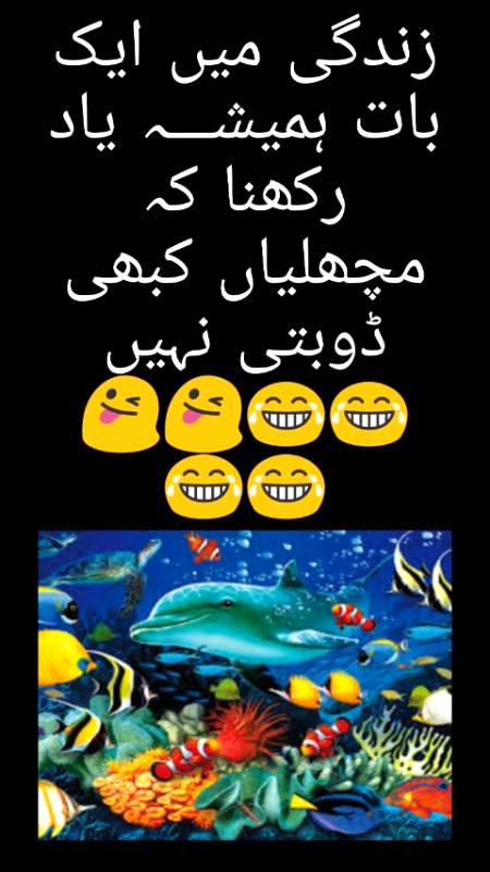 Funny joke