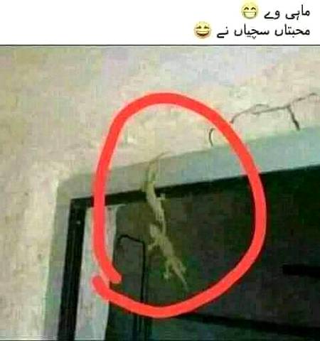 Funny joke