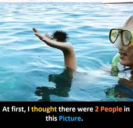 Funny joke