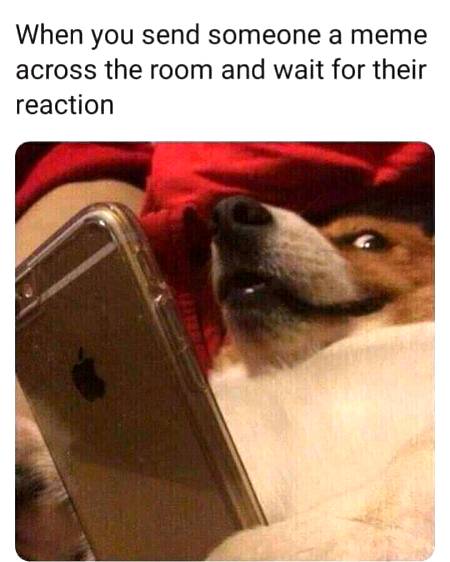 Funny joke