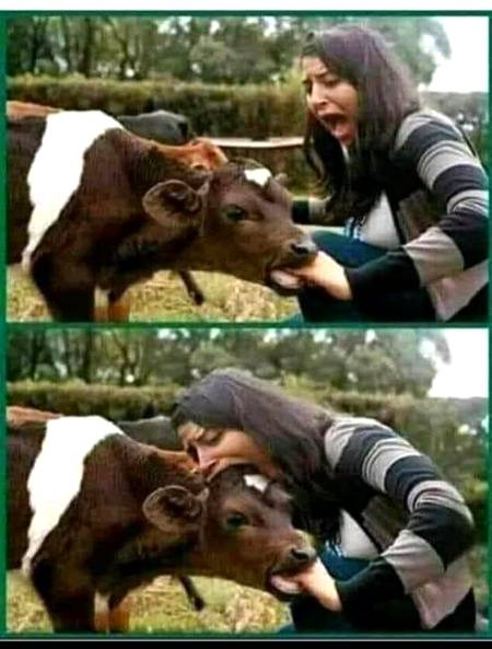 Funny joke