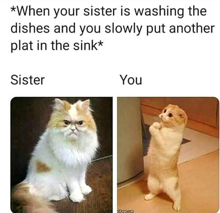 Funny joke
