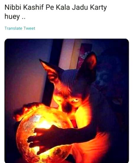 Funny joke