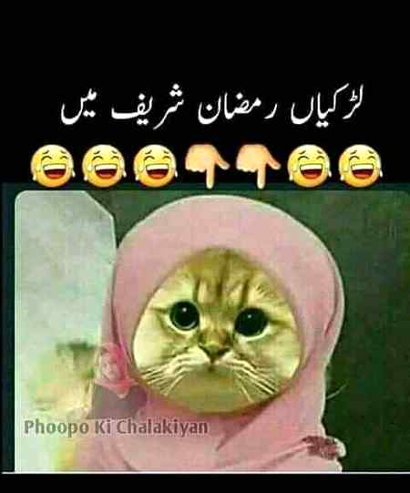 Funny joke
