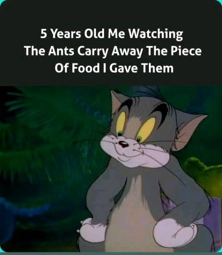 Funny joke