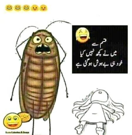 Funny joke