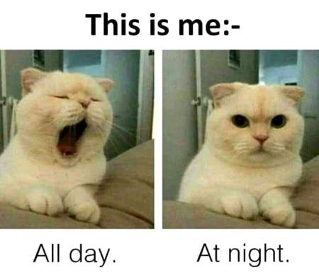 Funny joke