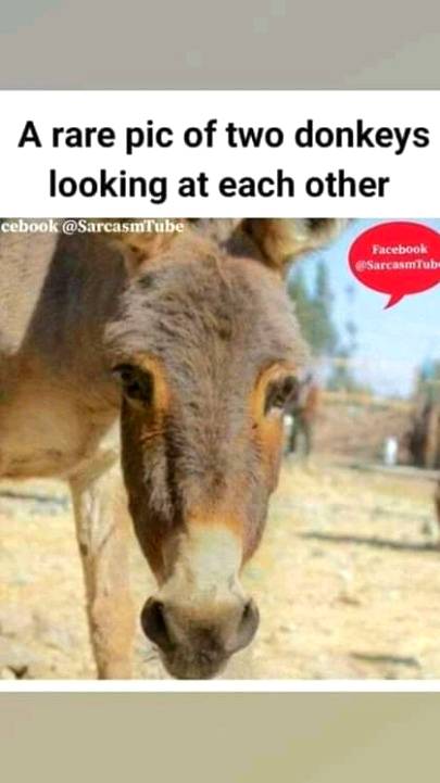 Funny joke