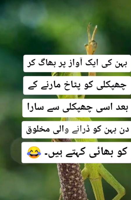 Funny joke