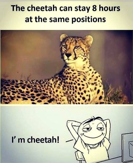 Funny joke