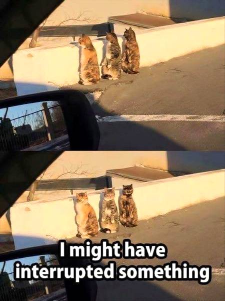 Funny joke