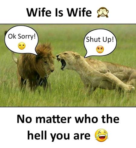 Funny joke
