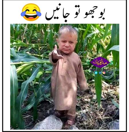 Funny joke