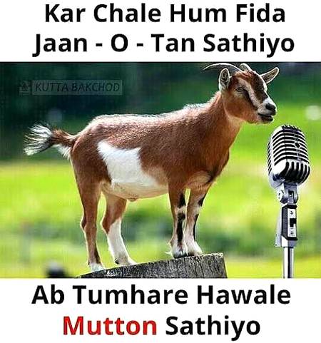 Funny joke