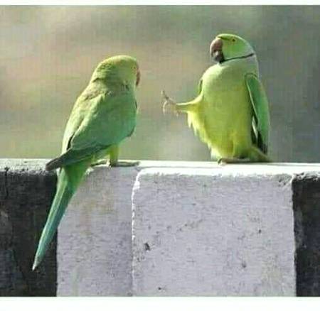 Funny joke