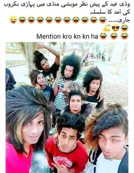 Funny joke