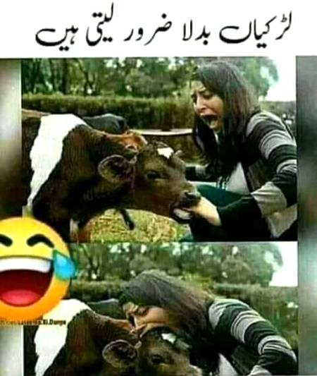 Funny joke