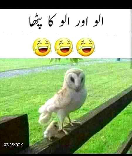 Funny joke