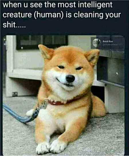 Funny joke