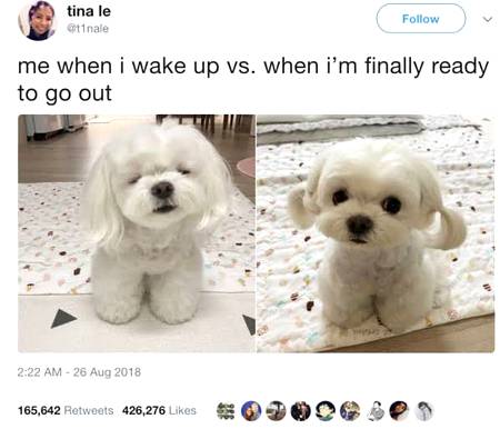 Funny joke