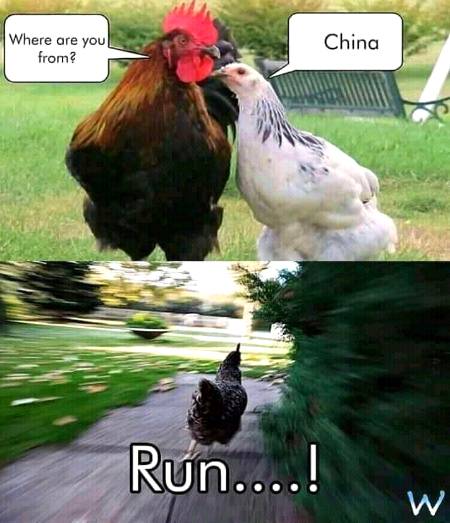 Funny joke