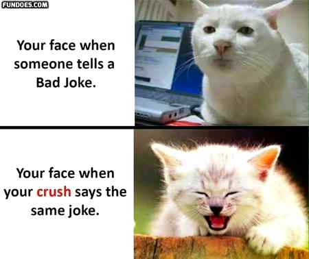 Funny joke