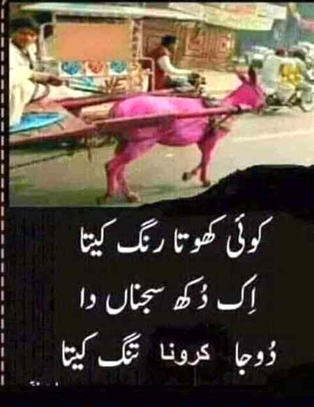 Funny joke