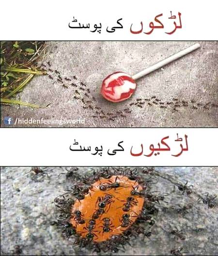 Funny joke