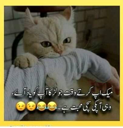 Funny joke