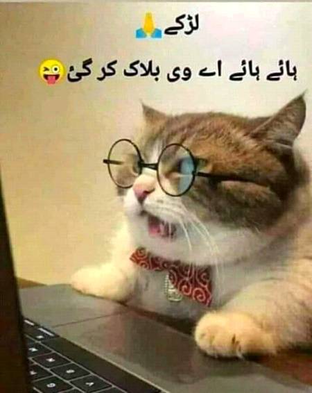 Funny joke