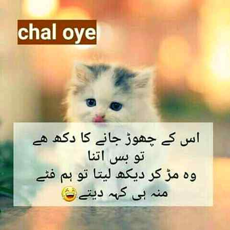 Funny joke