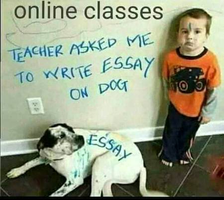 Funny joke