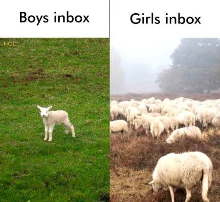 Funny joke
