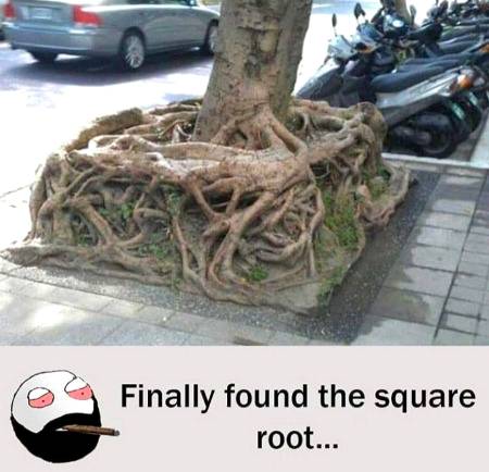 Funny joke
