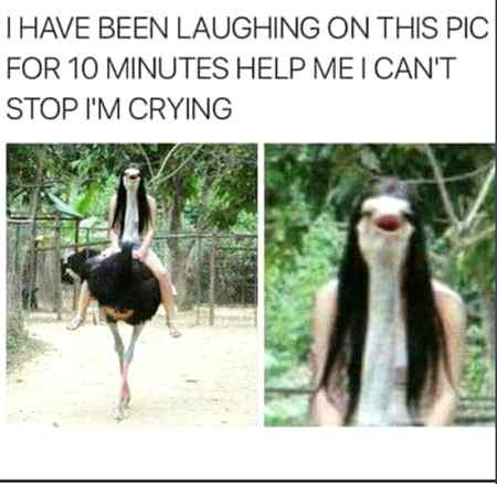 Funny joke