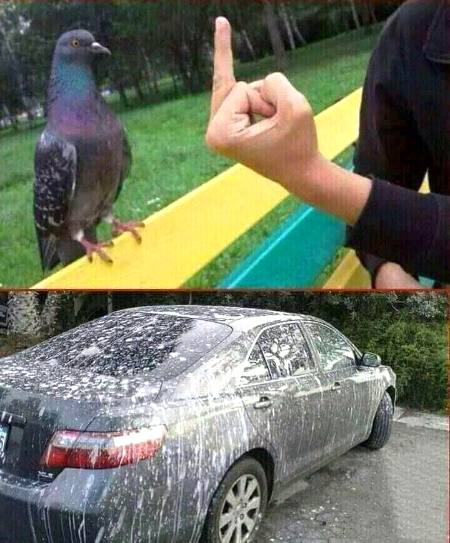 Funny joke