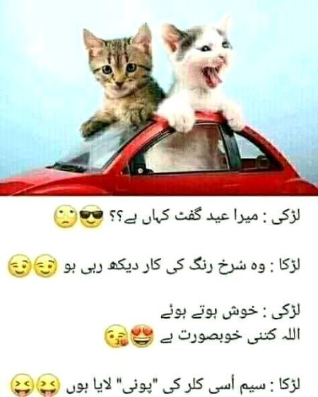 Funny joke