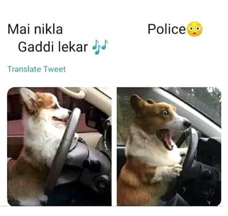 Funny joke