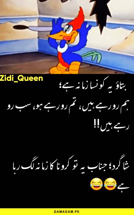 Funny joke