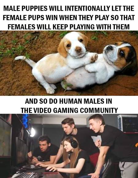 Funny joke