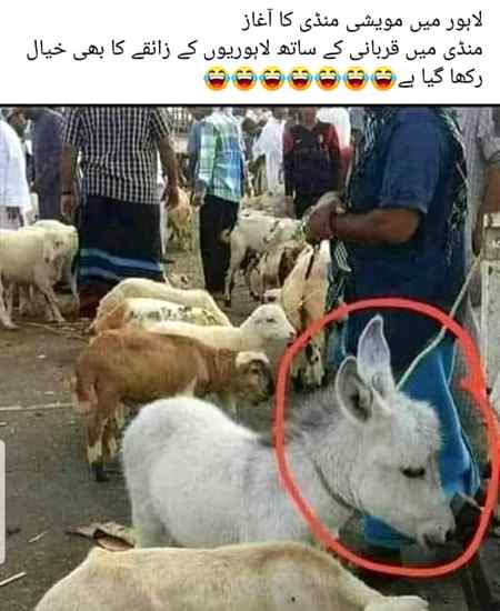 Funny joke