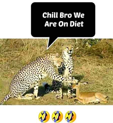 Funny joke