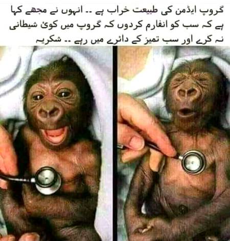 Funny joke