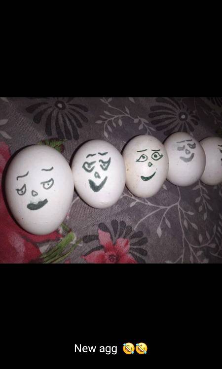 Funny joke