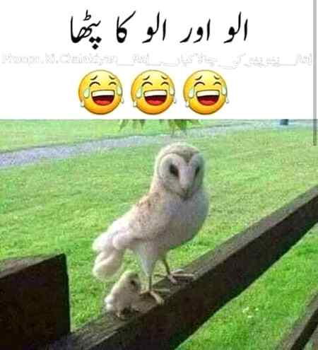 Funny joke
