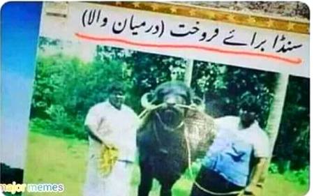 Funny joke