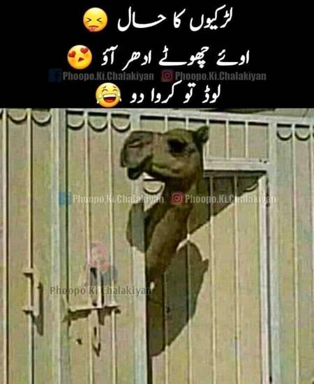 Funny joke
